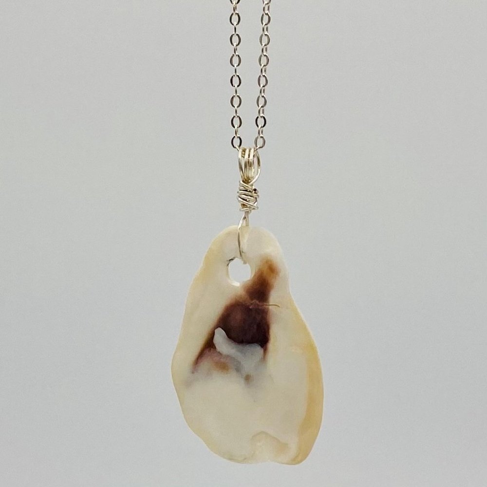 Shell Pendant on 18" Silver Chain Necklace; S18-40